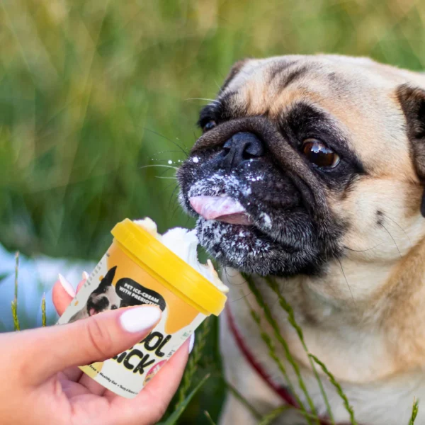 BASIL Cool Lick Dog Ice-Cream with Added Prebiotics, Banana & Peanuts - Image 6