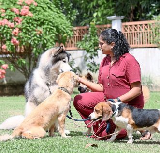 Vidhya Aratish with the dogs under her charge:Snoopy the Beagle, Bryan the husky, Appukutty the golden retriever mix, and Hiro the Shiba Inu. — ART CHEN/The Star